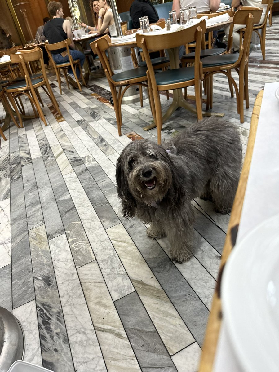 nesbit_sara's tweet photo. We have a happy Angel today loved being out and about for #pride #Pridemonth https://t.co/tkTmg4kygG