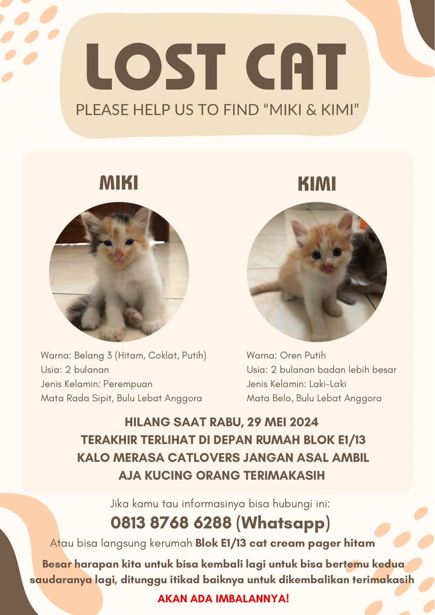 iamnothumanz's tweet photo. TWITTER / X PLEASE DO YOUR MAGIC bantuin temenku:(
KUCING HILANG!
Bagi yang menemukan di daerah Puri Bintaro Hijau Pondok Aren Tangerang Selatan dan sekitarnya bisa langsung hubungi ke nomor tersebut terimakasih.
Tlong bantu rt repost mksh🥺
#doyourmagic #kucing #kucinghilang https://t.co/1azYLEm8A7
