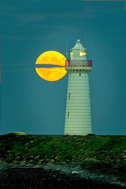 xtweb3's tweet image. What do you see in this picture?

I see $PAC 💛💛💛💛💛💛

$PAC Farmers lets support eachother!
Engage4engage🙏💛

@pacmoon_