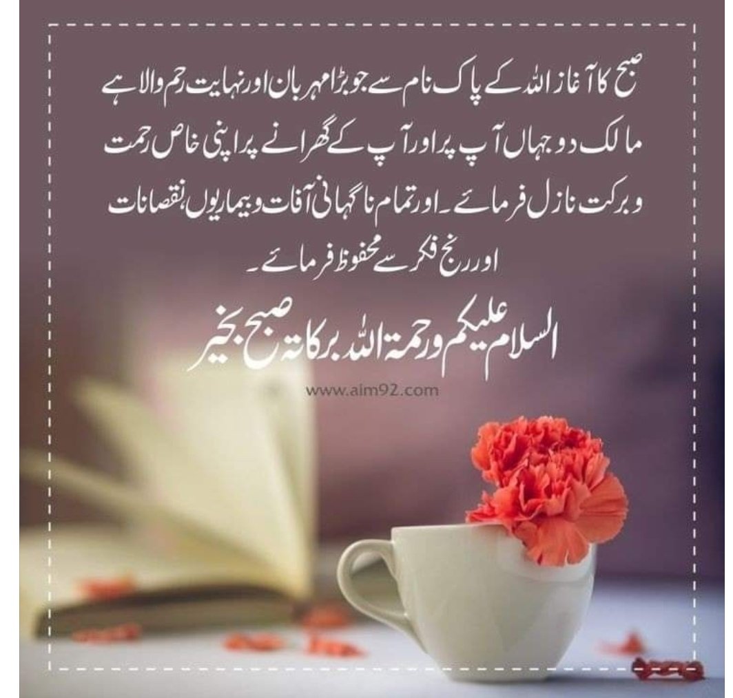 Hamza Shabbir (@hamzashabbir439) on Twitter photo 
