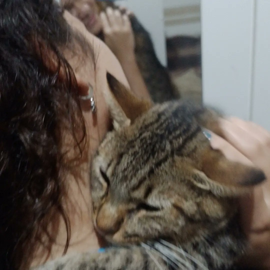 olivyssa's tweet photo. mês do orgulho com meu amor 💕🏳️‍🌈 https://t.co/1Ohc8hn2zk