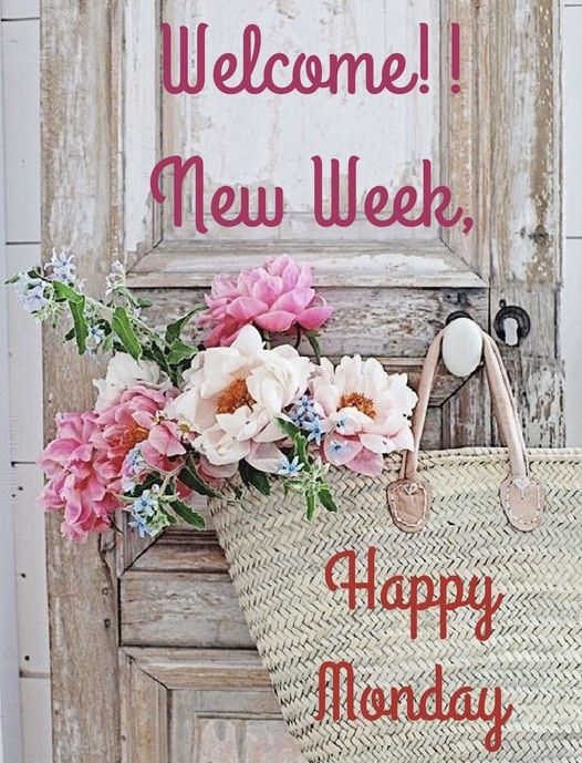 DOGEMUSKLY's tweet photo. When life brings joy, express gratitude and rejoice. 🌸
 When life brings challenges, express gratitude and learn from them.🌸

🌴🍑🌿☘️💜🌴🍑🌿☘️💜

Happy Monday and happy new week 🌺🌺
#kwj #GoodMorning #happymonday  #thankstoyou #GoodMorningimage #Goodmorningphoto #love https://t.co/mlrqTeErcE