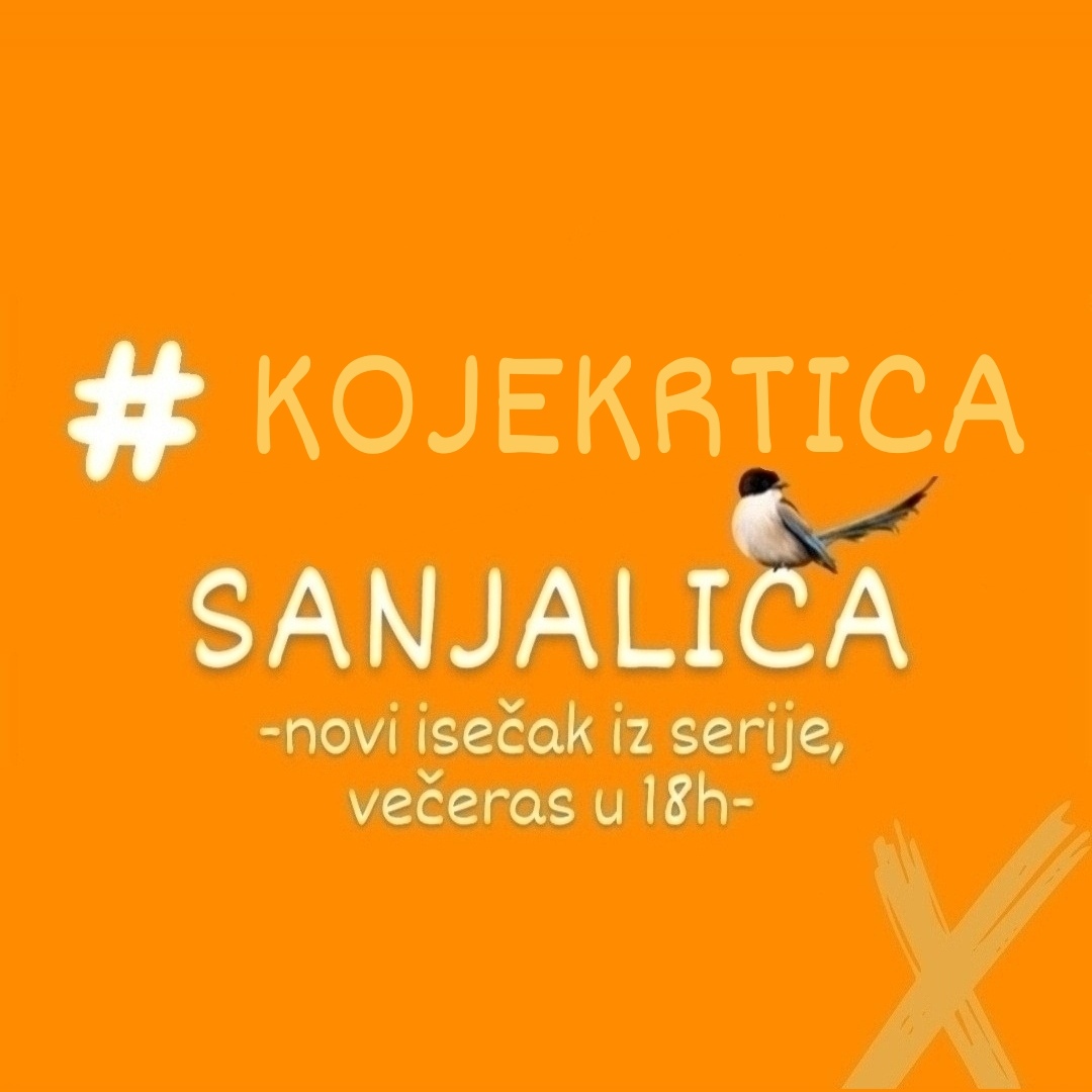 Hashtag novog isečka iz serije je: #kojekrtica! 💛🧡🐦 #sanjalica