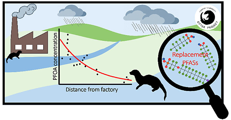 EnvSciTech's tweet photo. In this ES&amp;T article, researchers at @CUBiosciences @cardiffuni used Eurasian otters as sentinel species to show the persistence of #PFOA pollution at a PTFE factory site and the presence of replacement #PFASs in freshwater.

#Openaccess: https://t.co/AQTLpbonxT https://t.co/o3xYpoKdj7