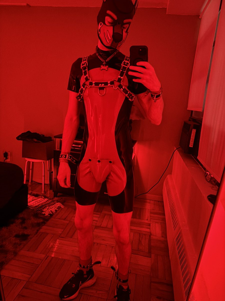 Pup Zink tweet media