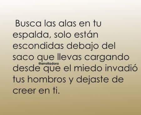 armandiux2012's tweet image. 