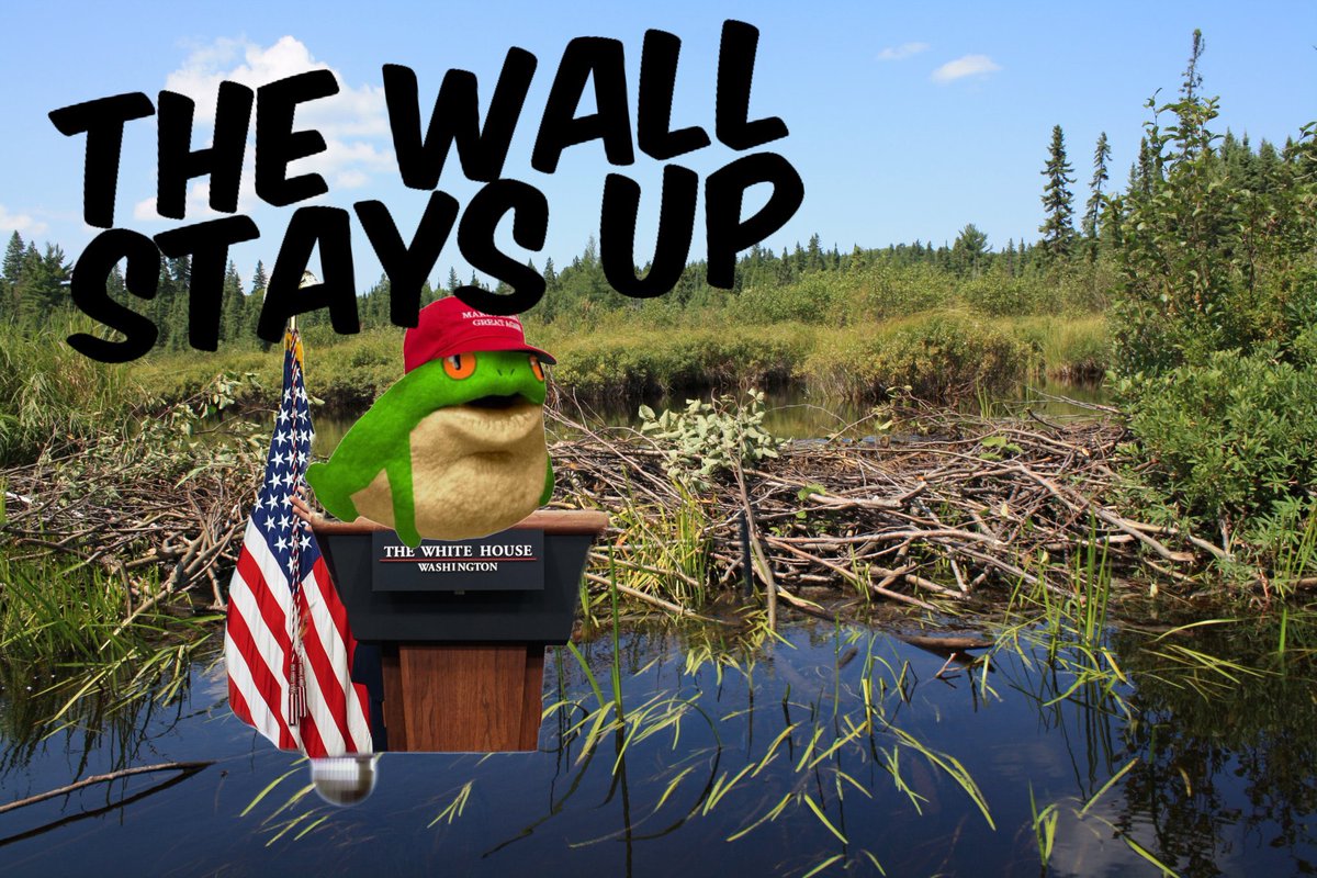SolanaTrog's tweet photo. @mrpunkdoteth My thoughts currently. With sahil on the other side *ribbit* deport the illegal jeets. https://t.co/JZJEz0VToA