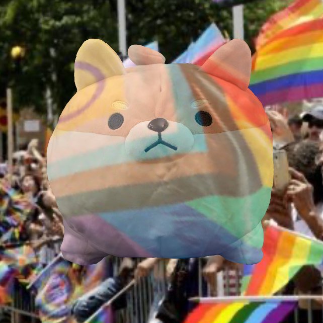 Emerique77's tweet photo. Happy Pride Month from Shiba. https://t.co/CzicIU5aIg