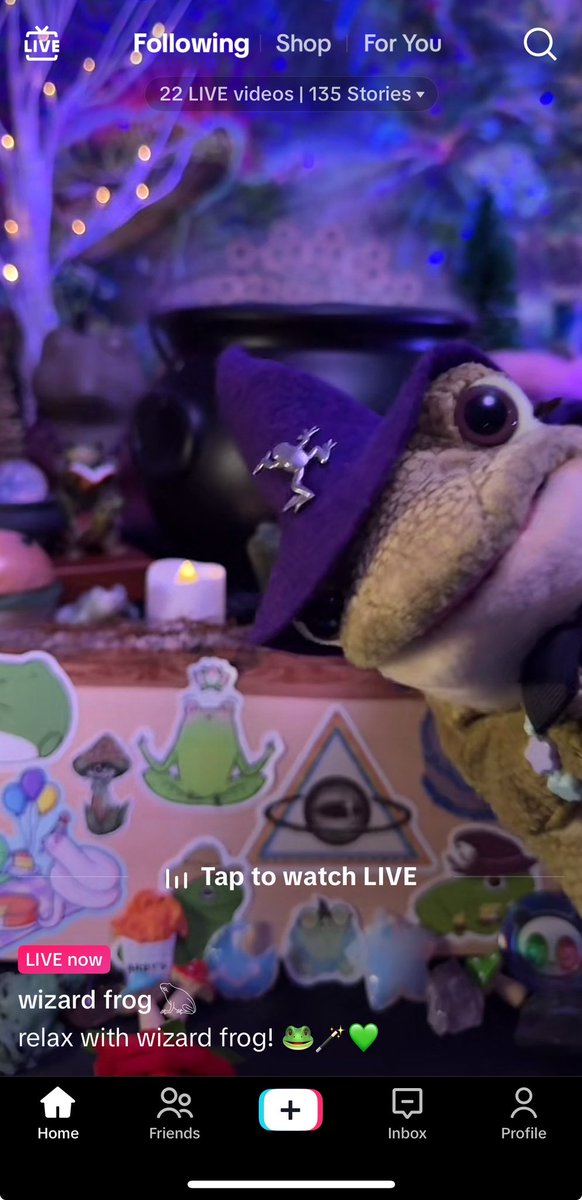 pember_emily's tweet image. 🐸 Come hang out with us in #wizardfrog 𓆏 TikTok live! 💚