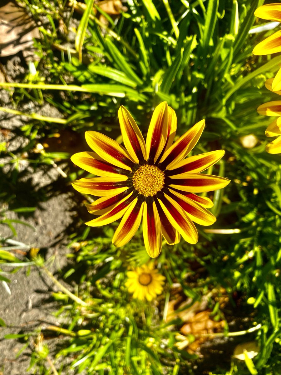 🧡it’s a promise💚