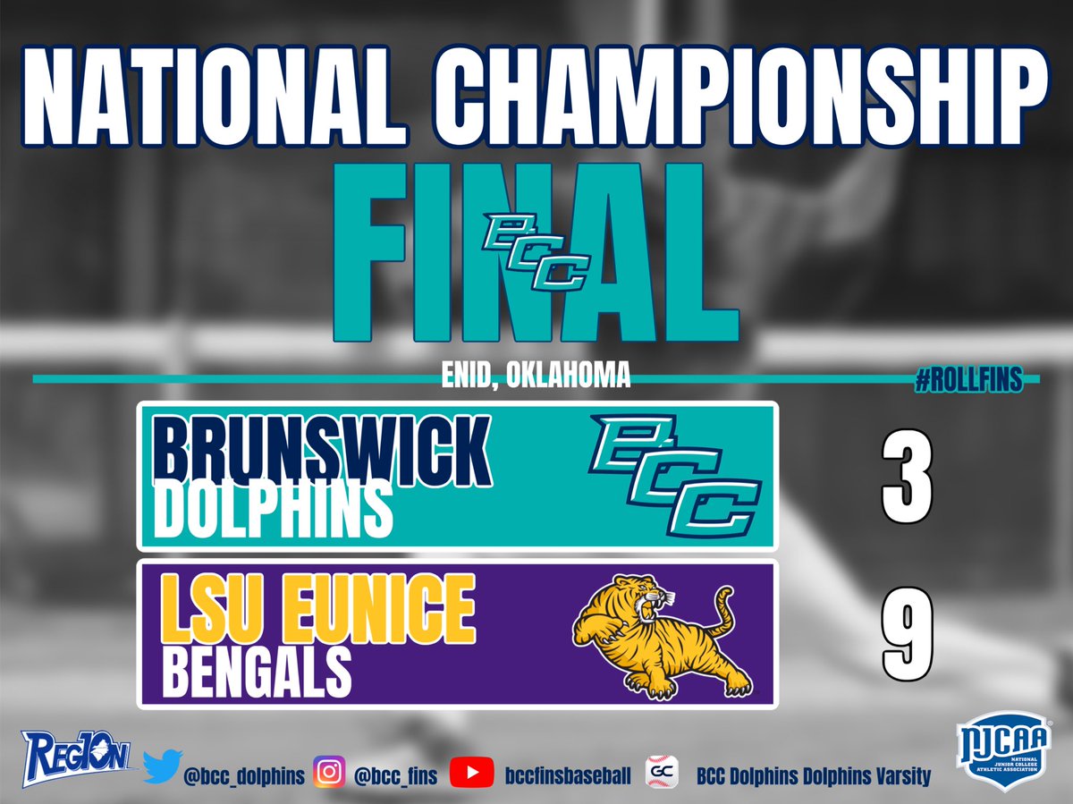 BCC Dolphins tweet media