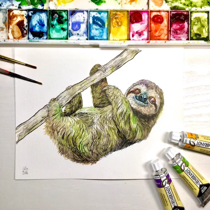 ノドチャナマケモノ(藻類付き)
ニホンヤモリ
セキセイインコを水彩絵の具で描きました。

色がカラフルなのも好みですが、ナマケモノやヤモリの絵のように落ち着いた色合いも良いなと思っています。 #水彩 