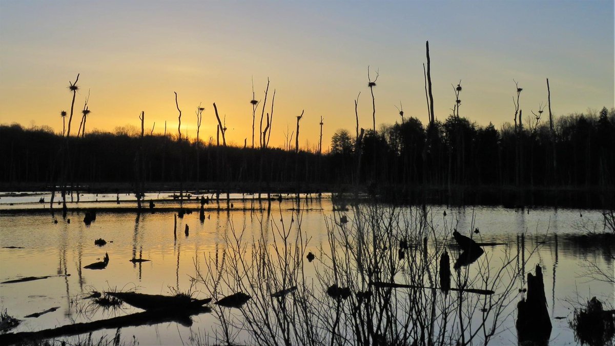 CNY Folksmarch - monthly walking club tweet media