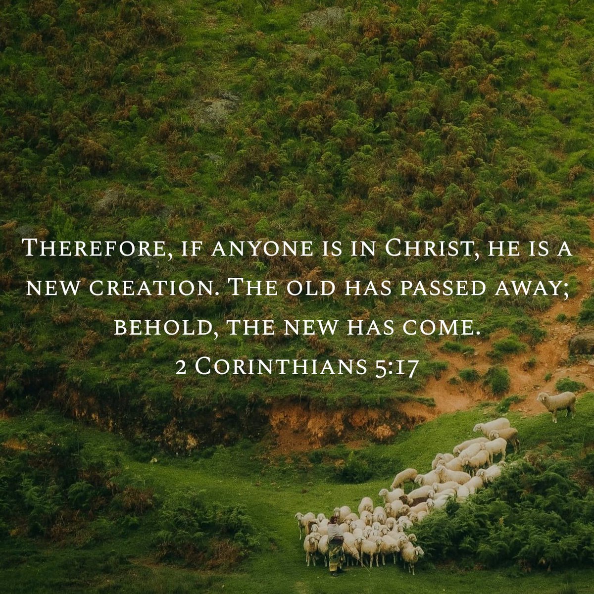 Wishing you a month filled with goodness. Blessed Sunday! 

#Nagaland #Bible #Church #SundayService #June