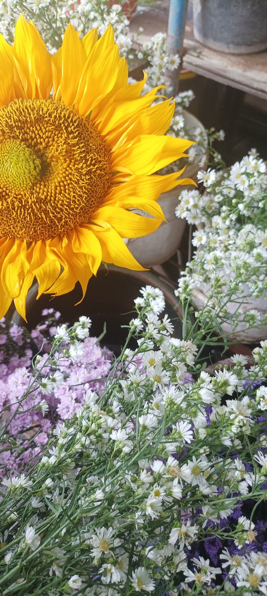 byeolstruck's tweet photo. “flower markets thrive on people’s ability to love” 🌷🪻🌻 https://t.co/AYdrMl3dmB