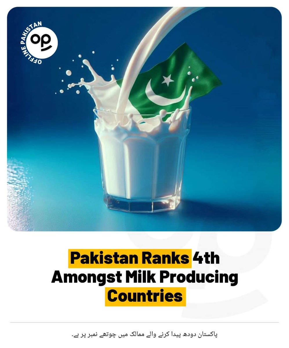 Muhamma38688860's tweet image. #gknowledge