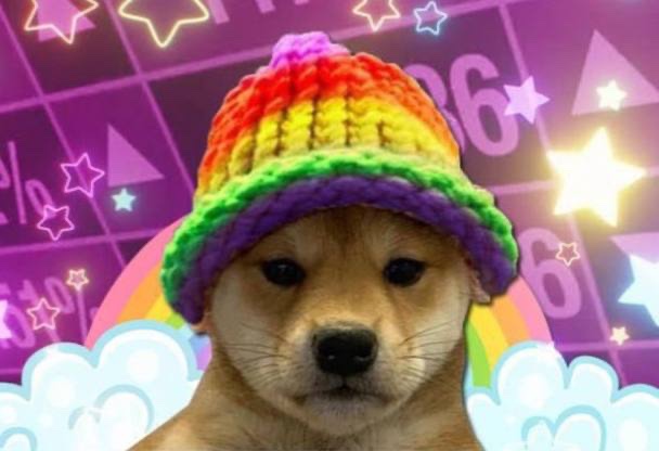 DudDS62's tweet photo. @wallstreetbets only dip im buying is #WIFPRIDE 

bullish community!

6rQwDmkWAM9YoPHjuQH4cMb5KQj8TUVTtcUYmPbopump

@DogWifPrideGay https://t.co/RkGPBL0kYa