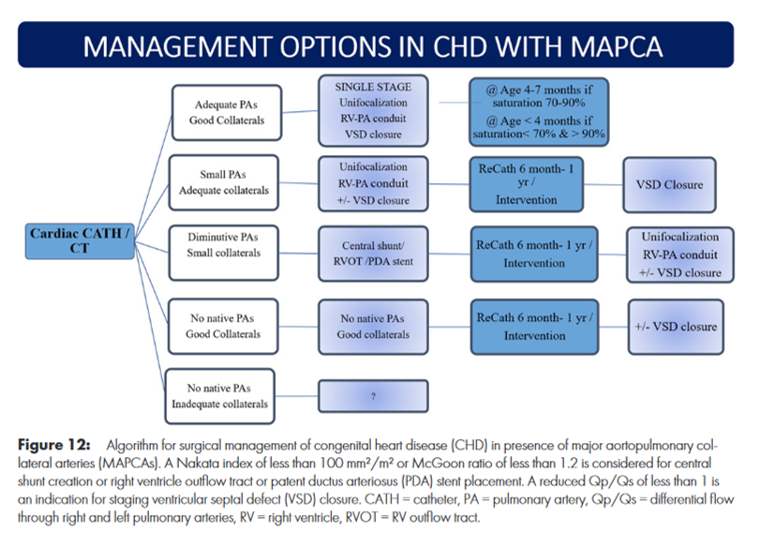 CardioCaribeMx's tweet photo. #MAPCAS
Colaterales Aorto-pulmonares
Clasificación
🧡Origen del vaso
🧡Comunicación
🧡Estenosis
Pronóstico
Calibre◀️2 mm Hipoperfusión
Calibre▶️3 mm HAP
Tratamiento
Unifocalización
Ligadura
Embolización
DOI 10.1148/ryct.210157
#nakata #McGoon #AP #Ao-Pulm https://t.co/okTyghtmUk