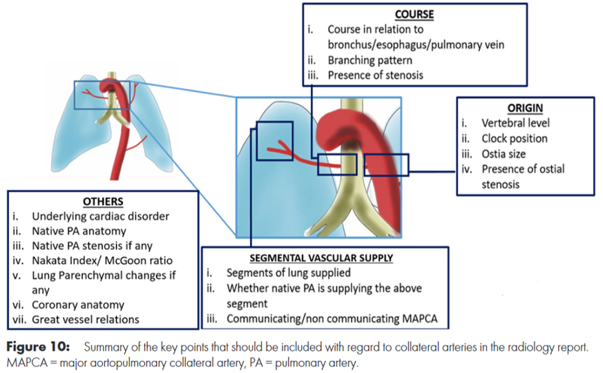 CardioCaribeMx's tweet photo. #MAPCAS
Colaterales Aorto-pulmonares
Clasificación
🧡Origen del vaso
🧡Comunicación
🧡Estenosis
Pronóstico
Calibre◀️2 mm Hipoperfusión
Calibre▶️3 mm HAP
Tratamiento
Unifocalización
Ligadura
Embolización
DOI 10.1148/ryct.210157
#nakata #McGoon #AP #Ao-Pulm https://t.co/okTyghtmUk