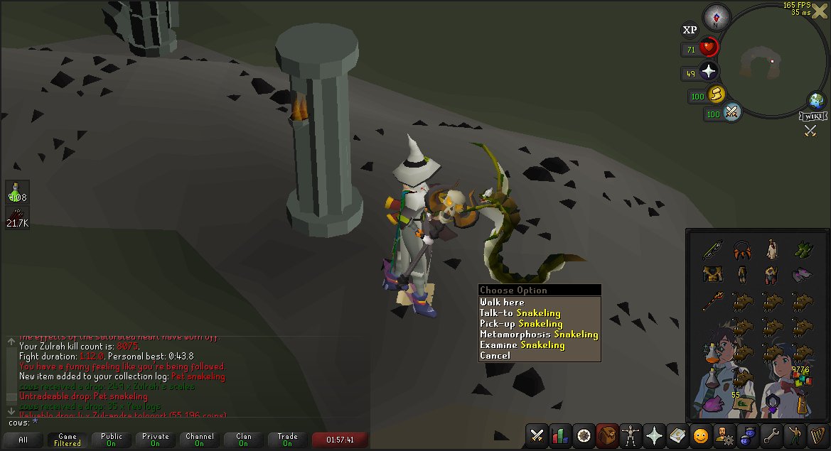 Pet #36 - Pet snakeling
