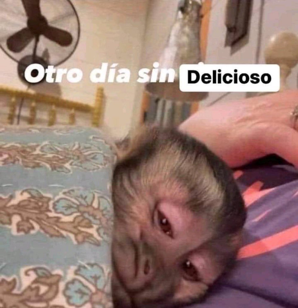 triste y con ganas de morirme ☹︎ (@cxrrly) on Twitter photo 