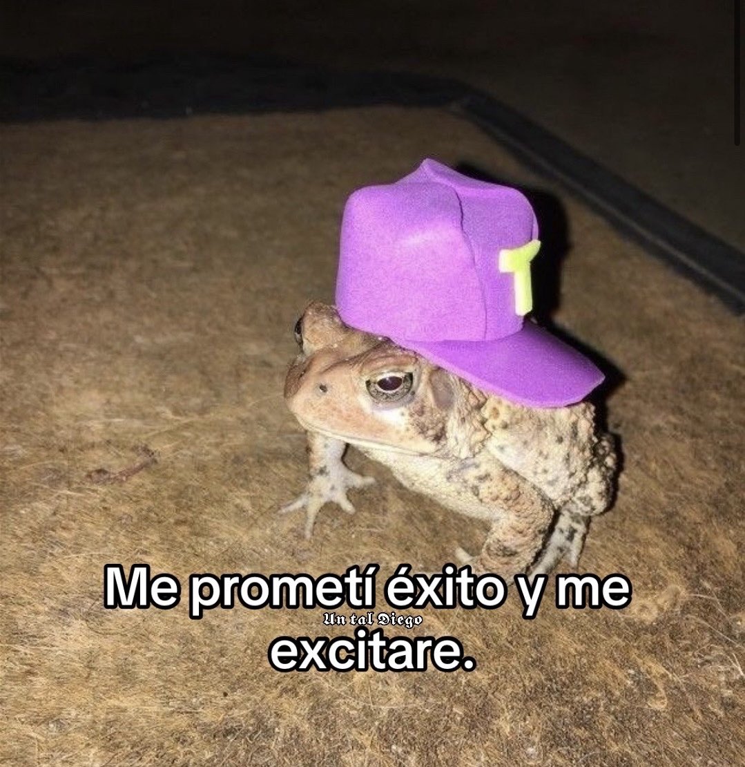 𝖀𝖓 𝖙𝖆𝖑 𝕯𝖎𝖊𝖌𝖔 tweet media