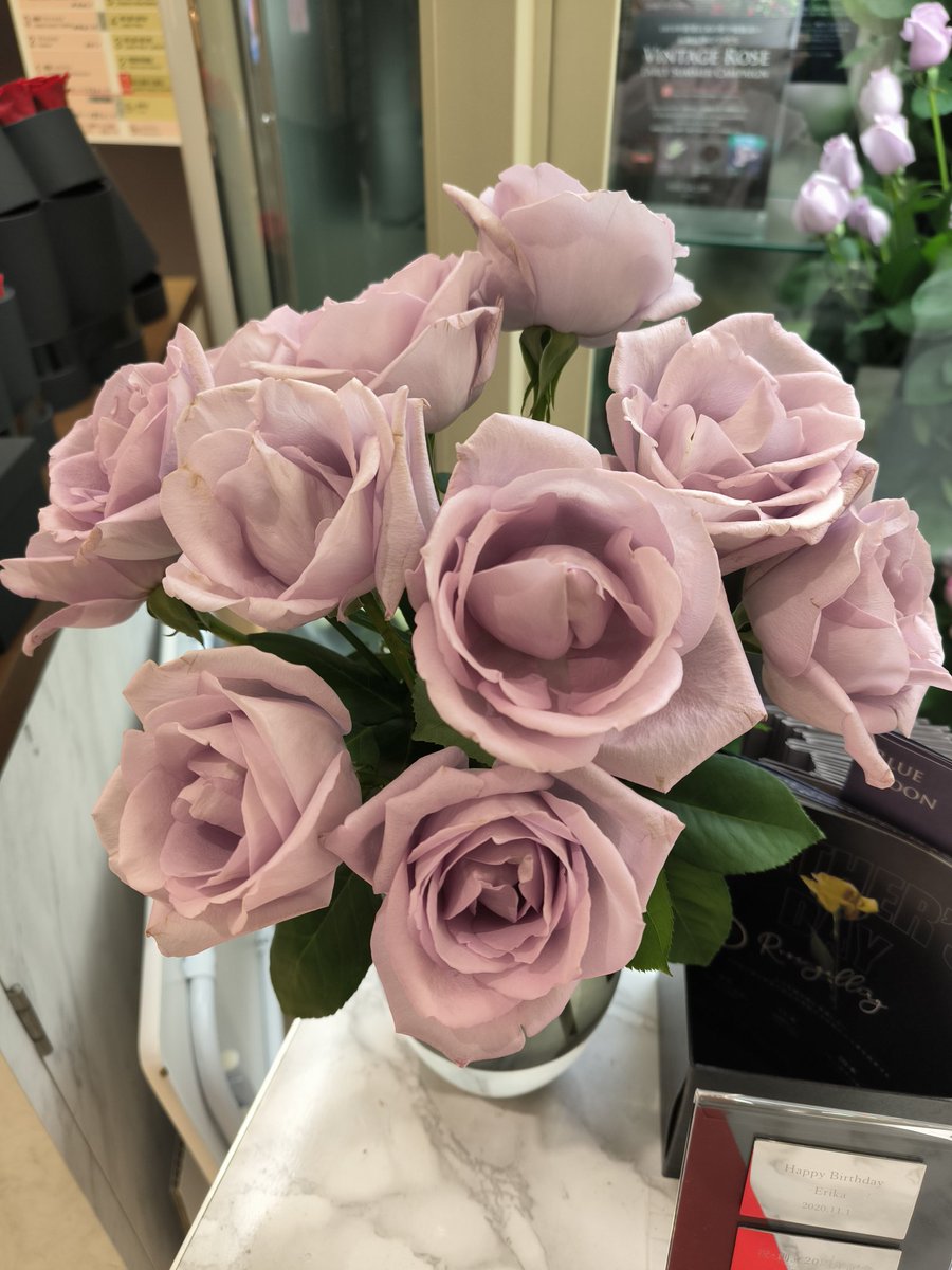 ローズギャラリーレアピンク ローズギャラリーレアピンク ダイヤモンドローズ(M) | ローズ