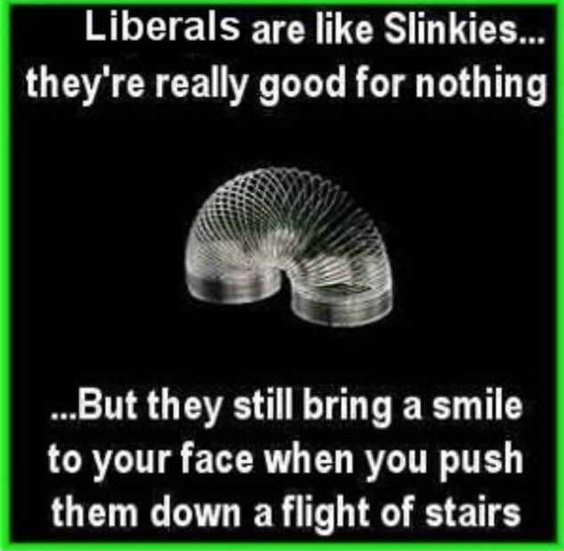 DaveSchreiber3's tweet image. Hi lib, #GoodForNothing 😁😂