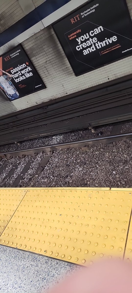 Bmoose603's tweet photo. The wait for the blue line kills me sometimes. https://t.co/QdVmC90DhN