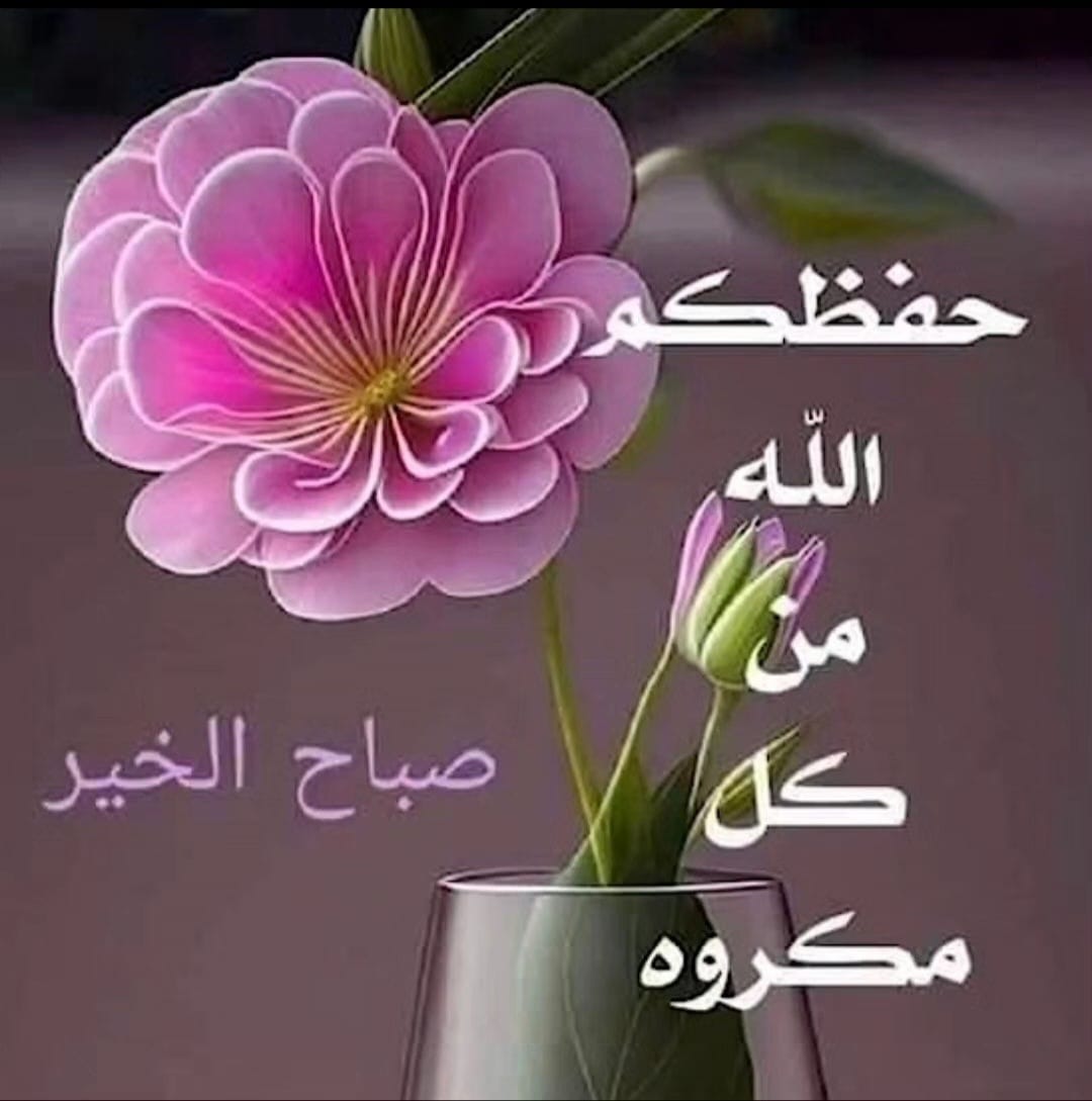 ايمن شهاب❤️💖🌹💐🌻 tweet media