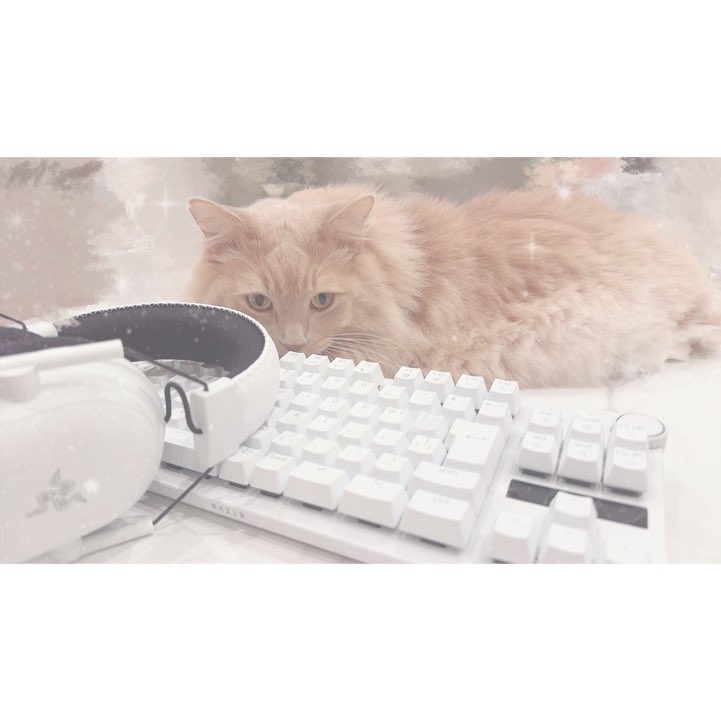 湊あくあさん(@minatoaqua) のデスクに合う、ホワイト製品を提供させて