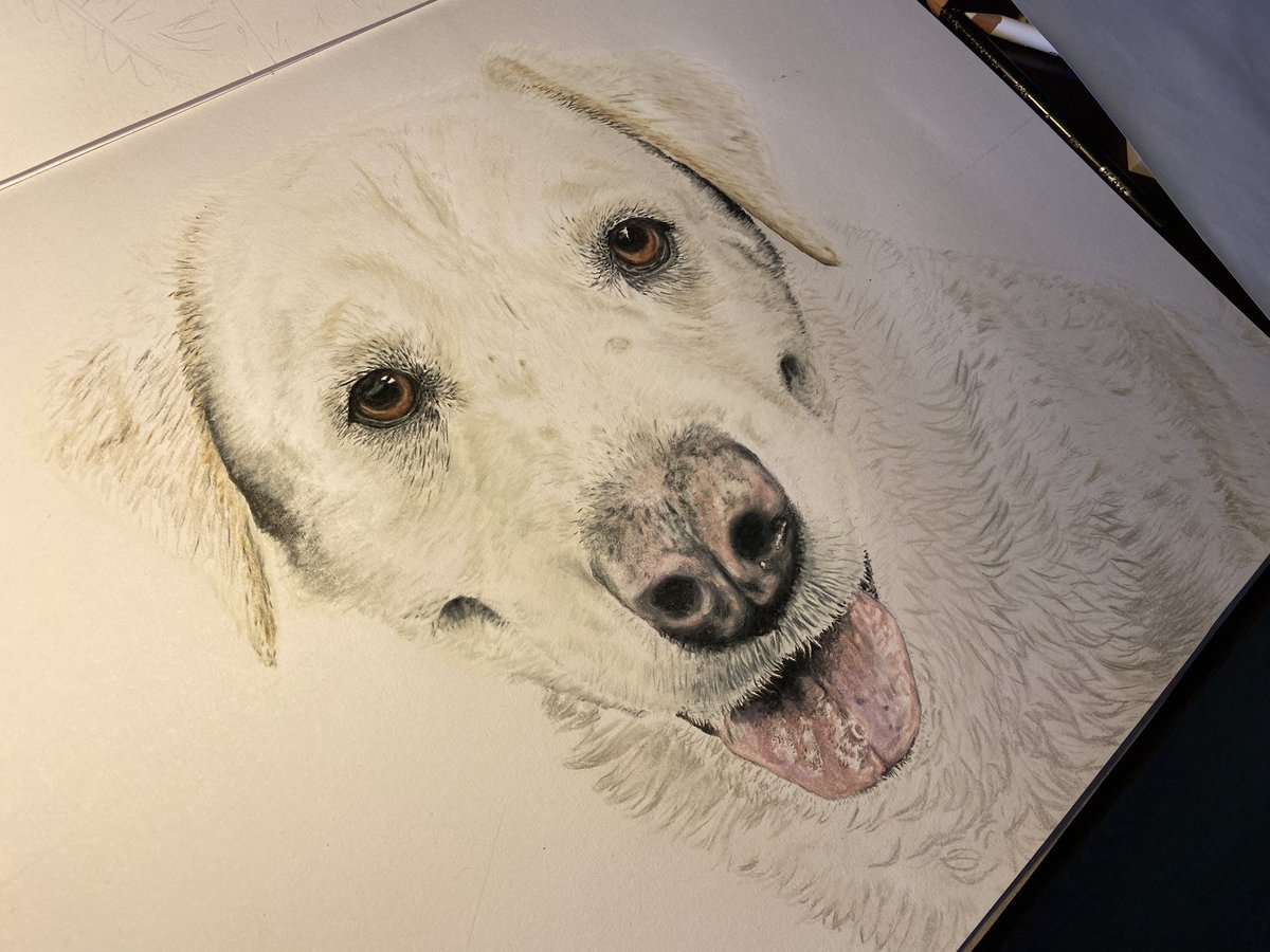 OzzyDingo's tweet photo. @DogOnGrog Awww my pleasure DingBro! Glad you like it and thank you for your patience!

I don’t think I shared any progress photos as it was a surprise, so here ya go :) https://t.co/f4wUbaENbi