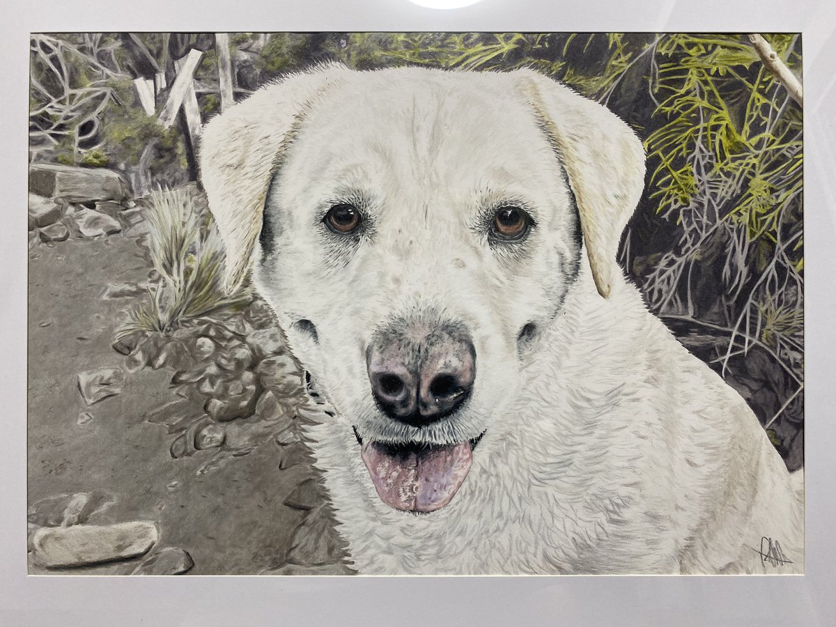 OzzyDingo's tweet photo. @DogOnGrog Awww my pleasure DingBro! Glad you like it and thank you for your patience!

I don’t think I shared any progress photos as it was a surprise, so here ya go :) https://t.co/f4wUbaENbi