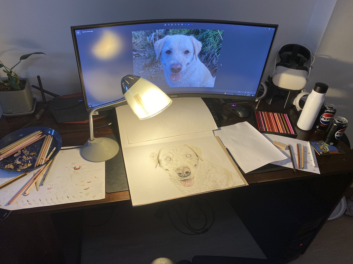 OzzyDingo's tweet photo. @DogOnGrog Awww my pleasure DingBro! Glad you like it and thank you for your patience!

I don’t think I shared any progress photos as it was a surprise, so here ya go :) https://t.co/f4wUbaENbi