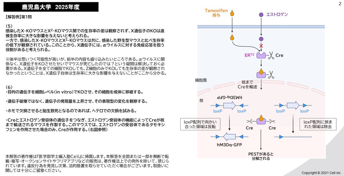鹿児島大学 解答速報】 昨日実施された 2025年度 鹿児島大学の 医学部 鹿児島大学 解答速報】 昨日実施された 2025年度 鹿児島大学の 医学部