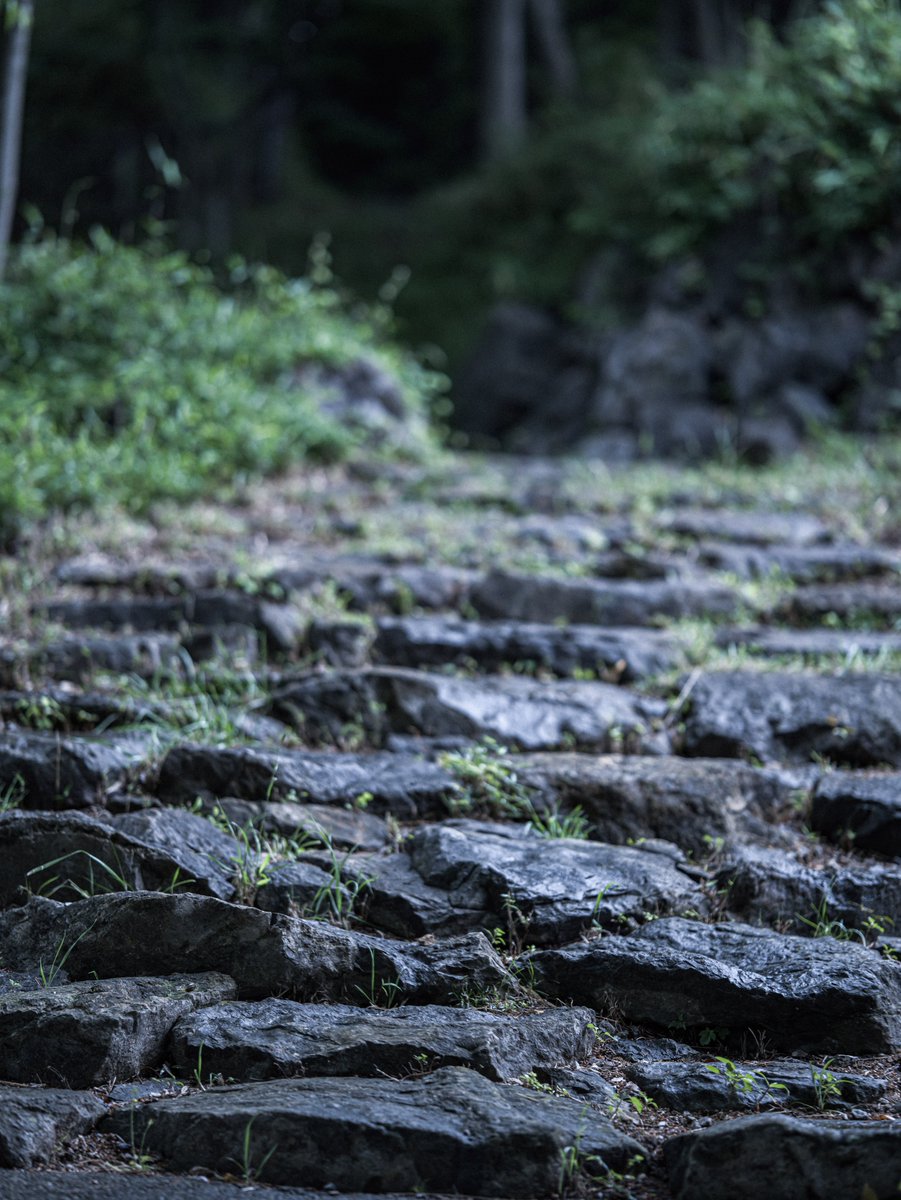 shun_sr400's tweet photo. 雨のなか探検してきました。
半袖短パンは寒い
#sigmafpl
#sigma
#85mmart https://t.co/mVZ8X4xNKD