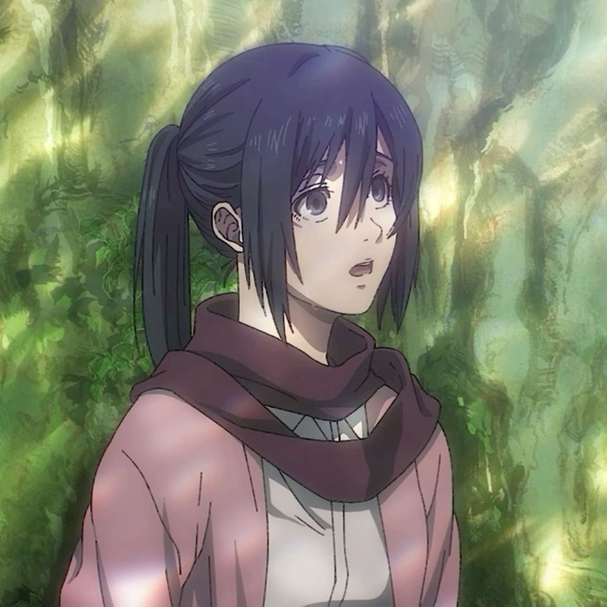 mikasa_ackers's tweet photo. 4 reason on why should you watch AOT? https://t.co/Tv1vFhAzFO