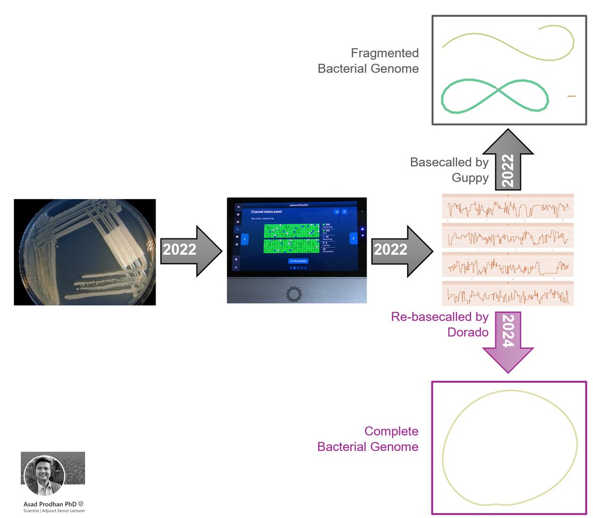 Asad Prodhan (@asad_prodhan) on Twitter photo Can we improve bacterial genome assemblies from old Nanopore runs by re-basecalling with Dorado?
My benchmarking study showed that Dorado improved read quality from old runs leading to more complete genome assemblies
github.com/asadprodhan/Do…
<a href="/nanopore/">Oxford Nanopore</a> Can we improve bacterial genome assemblies from old Nanopore runs by re-basecalling with Dorado?
My benchmarking study showed that Dorado improved read quality from old runs leading to more complete genome assemblies
github.com/asadprodhan/Do…
<a href="/nanopore/">Oxford Nanopore</a>