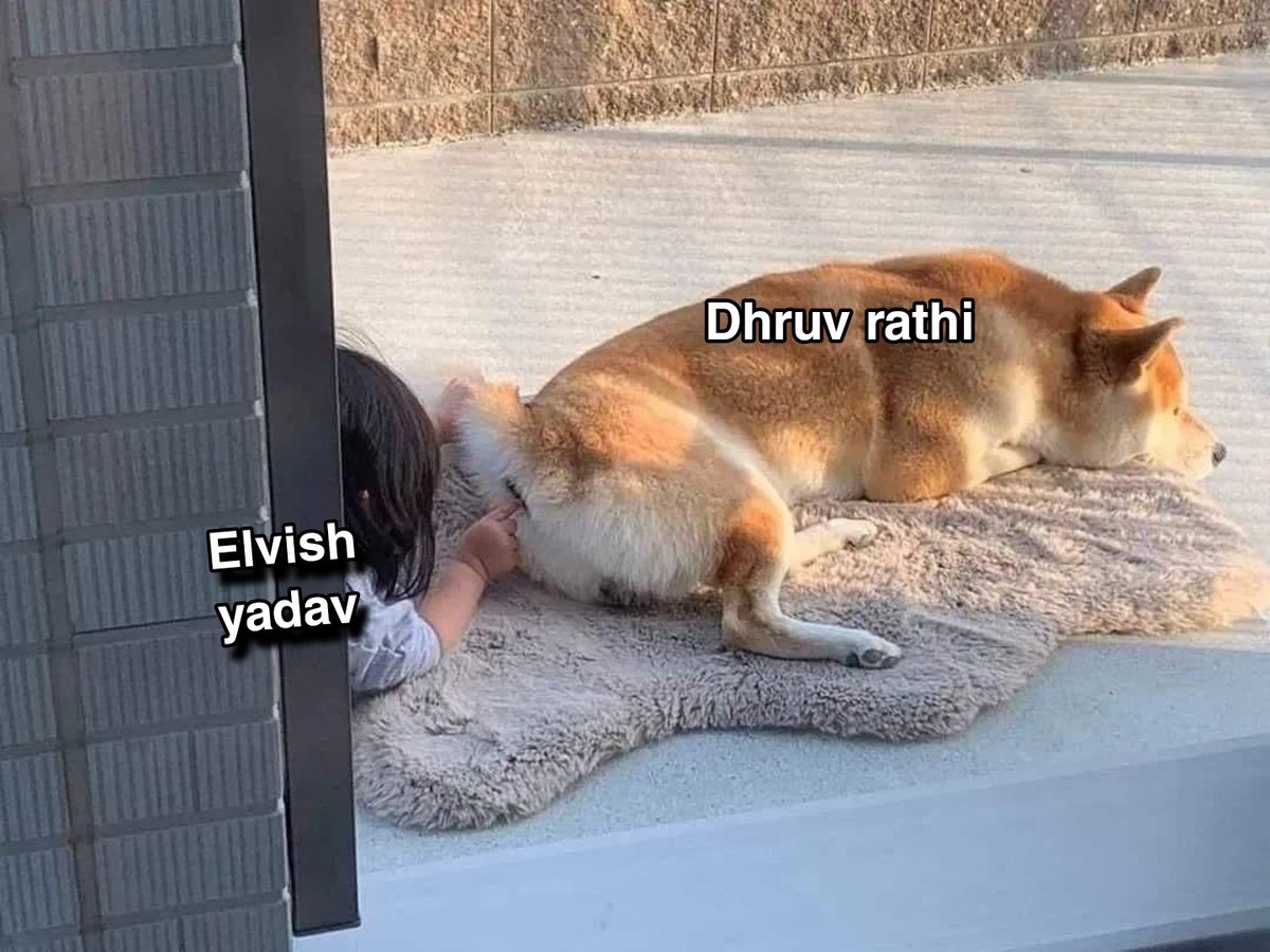 #ElvishYadav vs #DhruvRathee
