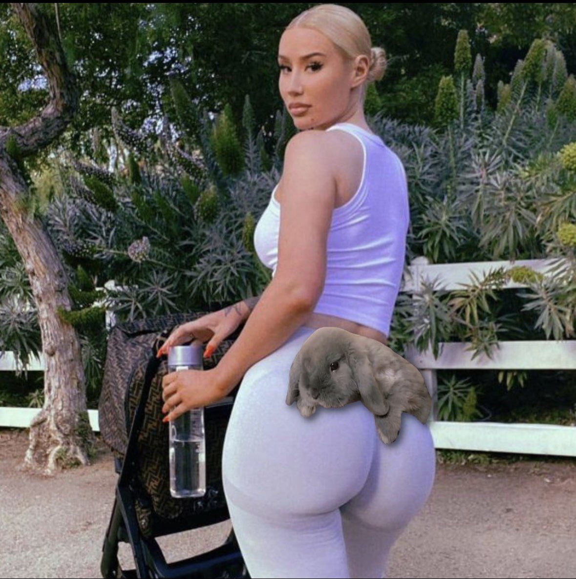 YamsDidIt's tweet image. See your into MOTHER Iggy…

Take a look at her pet rabbit $SMOKEY