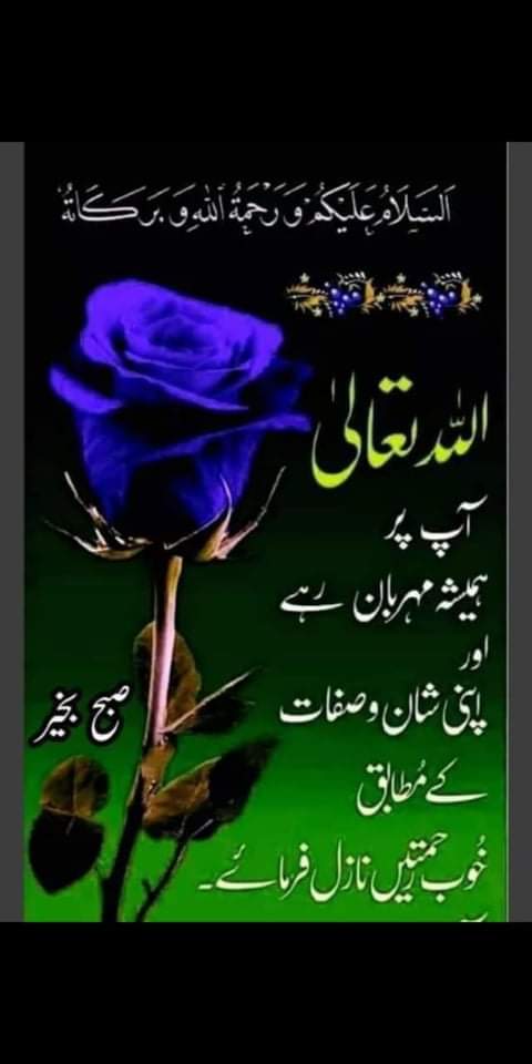 😍As salaam alaikum😍
🌼Good ➡➡ Morning🌼
😍Have A Nice Day😍
😘Happy Sunday😘
.
.
#X_promo