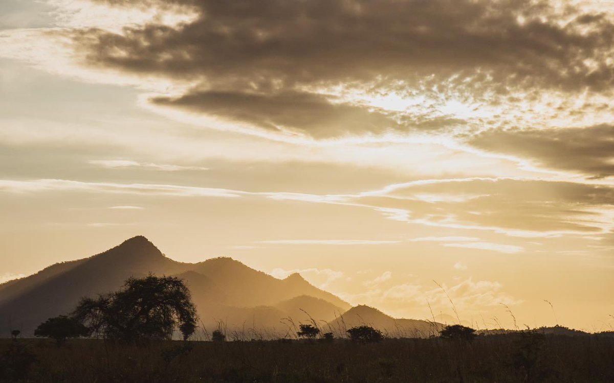 GiraffeSights's tweet photo. Every tourist should visit Kidepo Valley National Park for its diverse wildlife, hiking &amp; birding trails, and rich cultural experiences. 

Despite the distance from the capital, it's worth the journey.

For inquiries: 
📧: info@giraffesightsafrica.com 
🌎: https://t.co/opx1tqHbZ5 https://t.co/7h9qFa1GCt