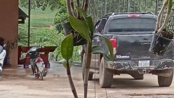 Repeat offender. Enforcement has caught and submitted this vehicle for prosecution, multiple times. Back again. Rumor has it, it belongs to the head of Police in Pursat city.. 🤔
