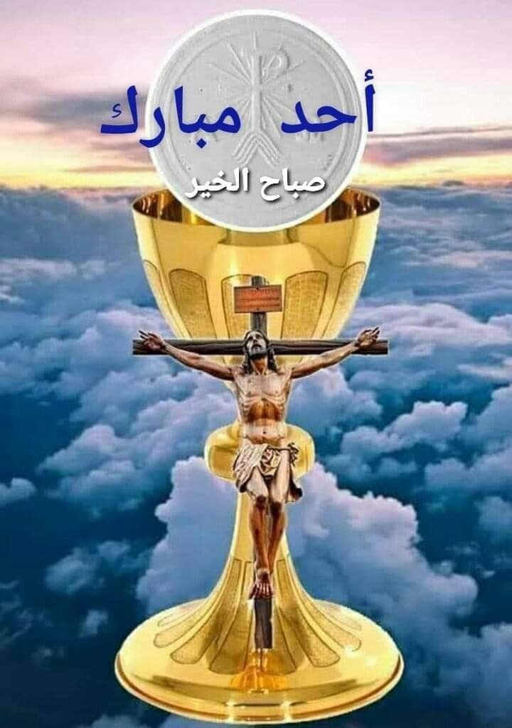 Charbel Bouti (@bouticharbel) on Twitter photo 