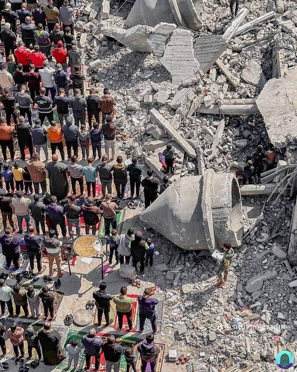 💚 rumah dan bangunan mereka runtuh tapi iman mereka tidak runtuh 
ALL EYES ON RAFAH
ALL EYES ON RAFAH
ALL EYES ON RAFAH
ALL EYES ON RAFAH
ALL EYES ON RAFAH
ALL EYES ON RAFAH
ALL EYES ON RAFAH