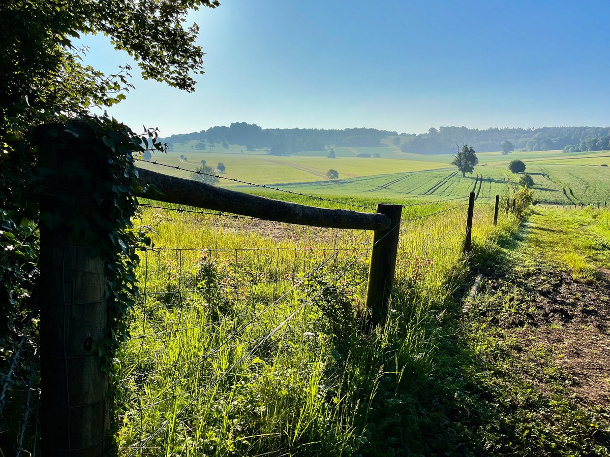 Liam Cleaver tweet media