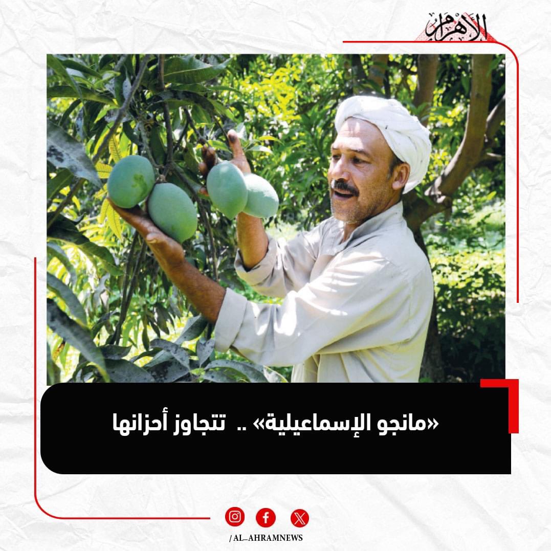 والله فرحتلها، عقبالنا كلنا يا رب.