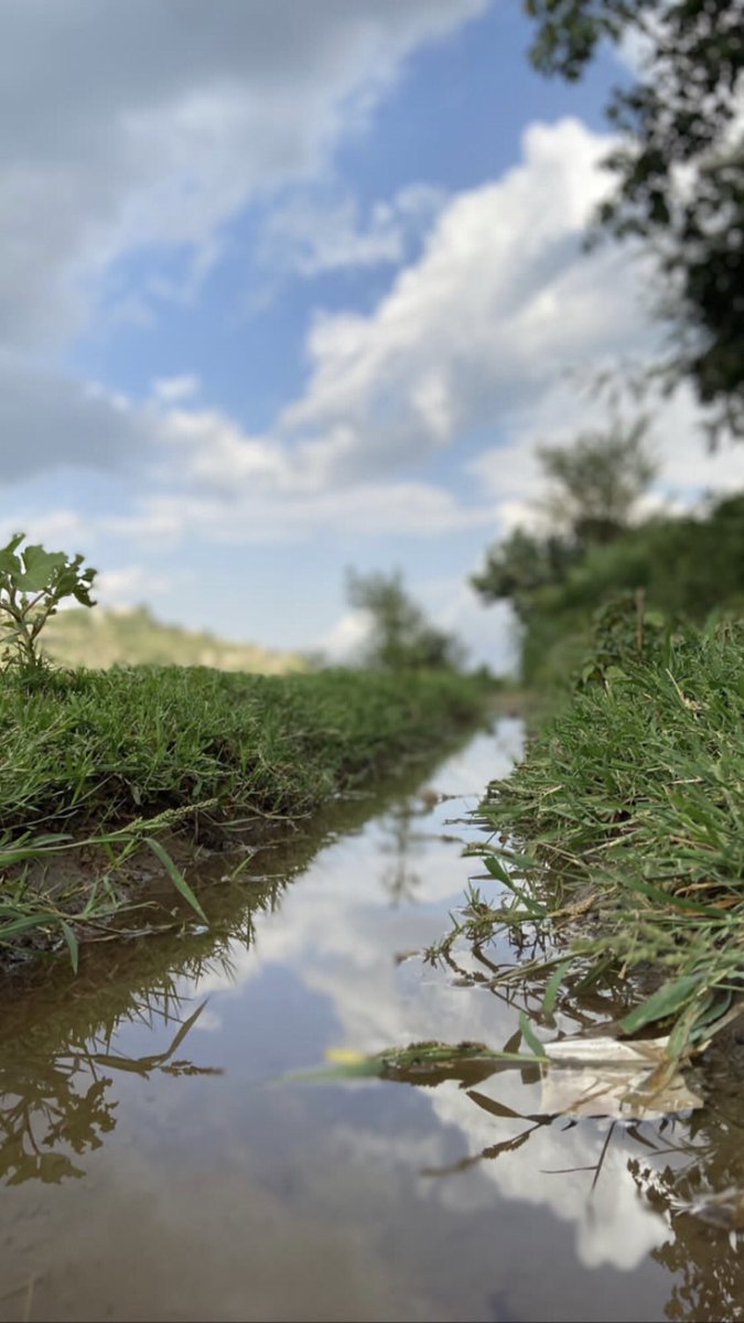 صباح الرضا 🍃💙