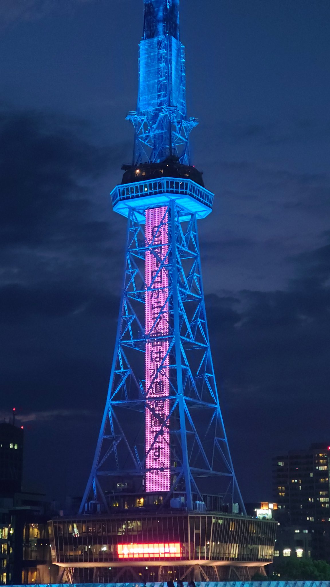 MIRAI 電子水生成器 本体と電源アダプター＋電極プレート＋電極フロート 電解水素水生成器 ピュアナノZX-05｜送料無料でお届け