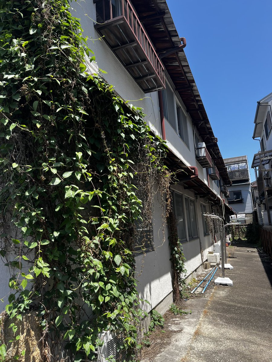 mcn0825's tweet photo. 立ち退きをして全空にしたが建築費の高騰により建て替えが頓挫するケースも最近多く、現状で引き受けを相談されるケース増えてきました。勿論喜んで買取ります。 https://t.co/BuTn1MBGyB